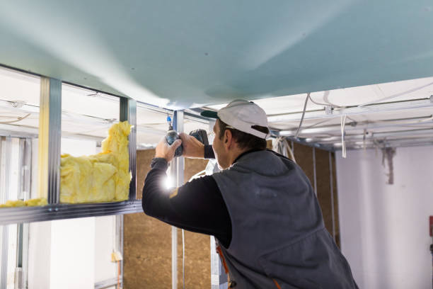 Best Eco-Friendly Insulation in Newport, NC