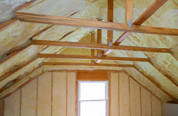 Best Cellulose Insulation in Newport, NC
