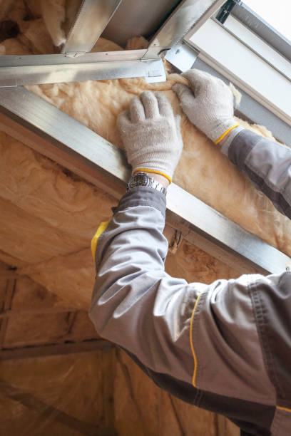 Best Insulation Maintenance and Repair in Newport, NC